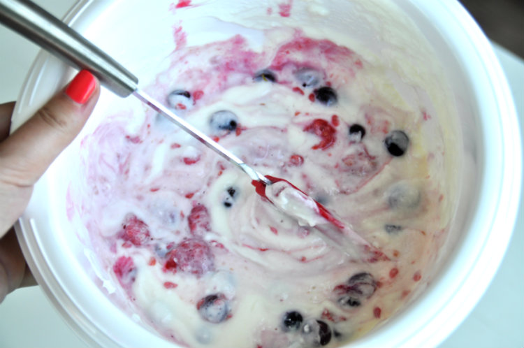 yoghurt mixen ijsjes maken