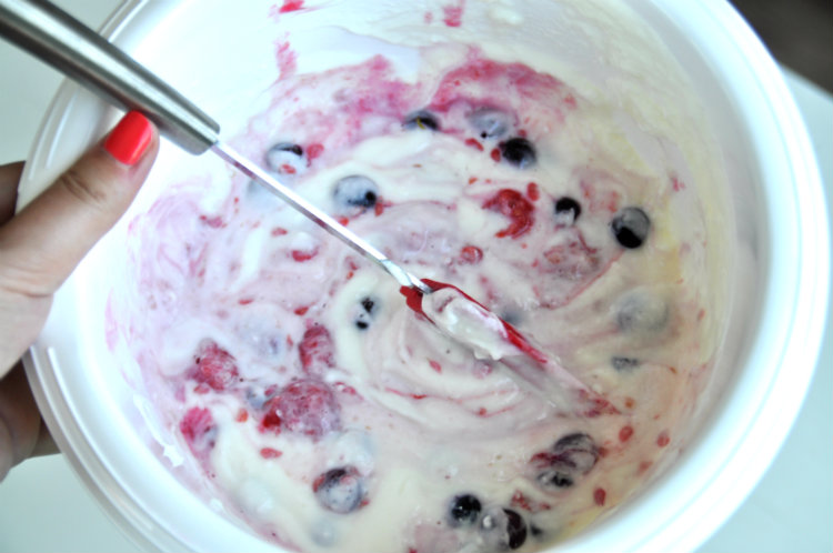 yoghurtijsjes rood fruit (recept)