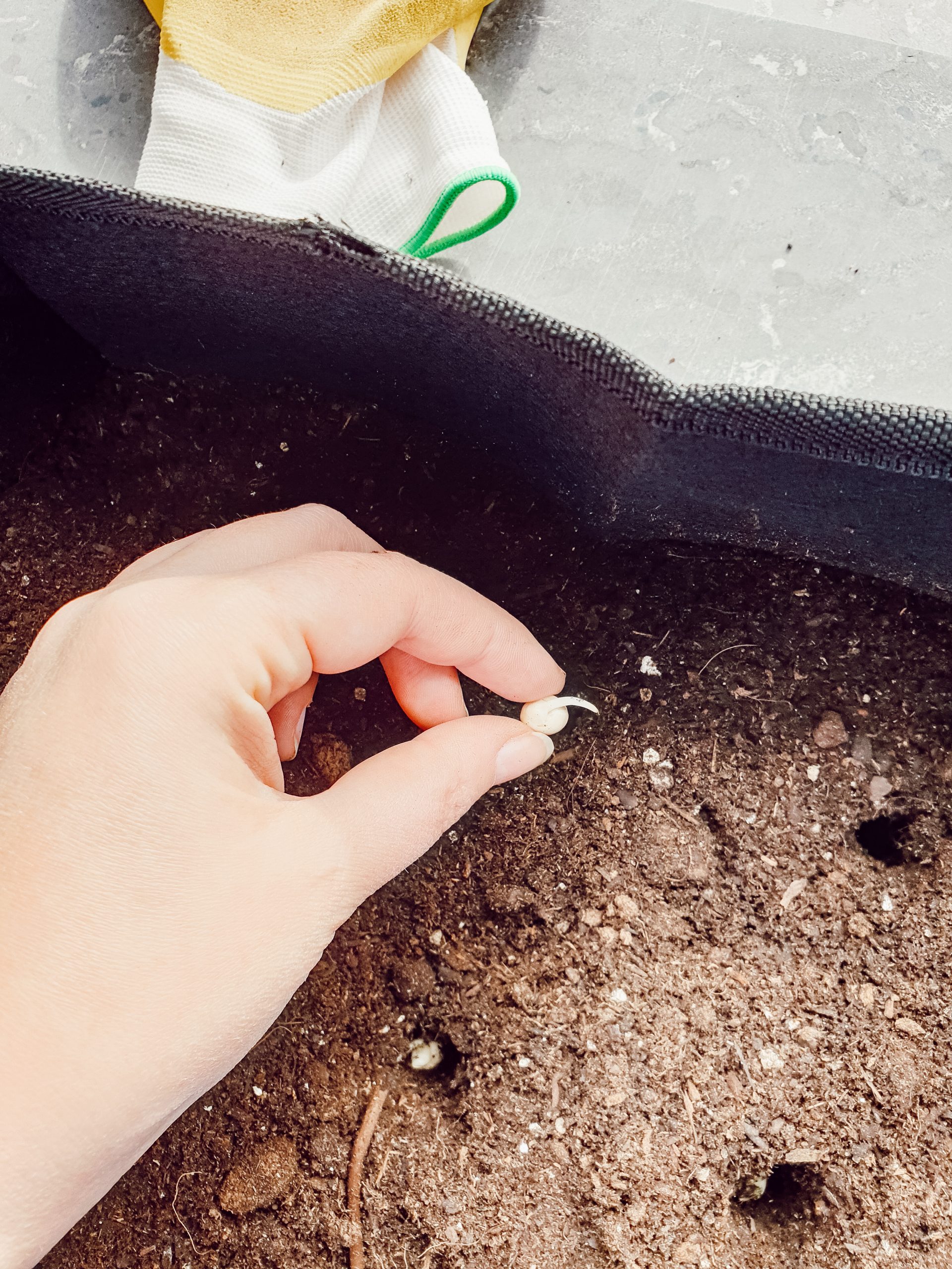 moestuin op het balkon