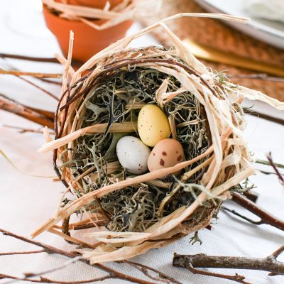 Zelf een vogelnestje maken