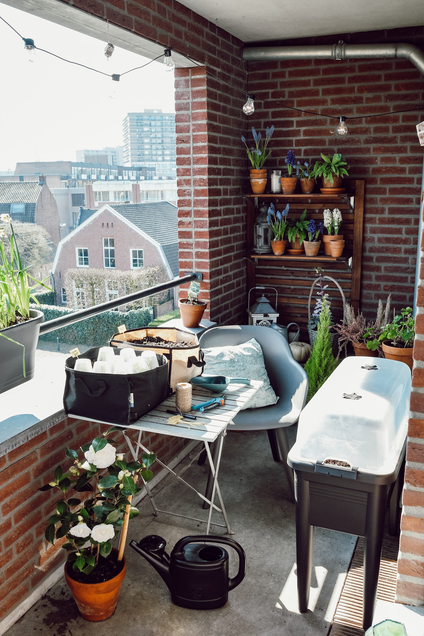 mini moestuin op het balkon