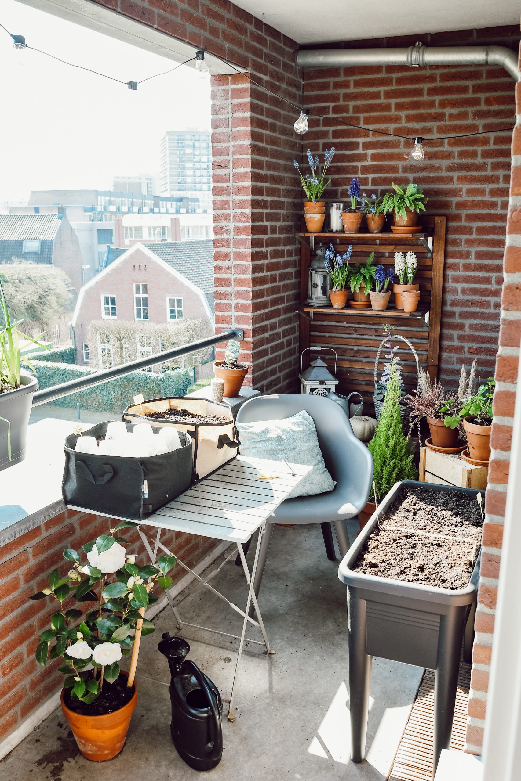 mini moestuin op het balkon