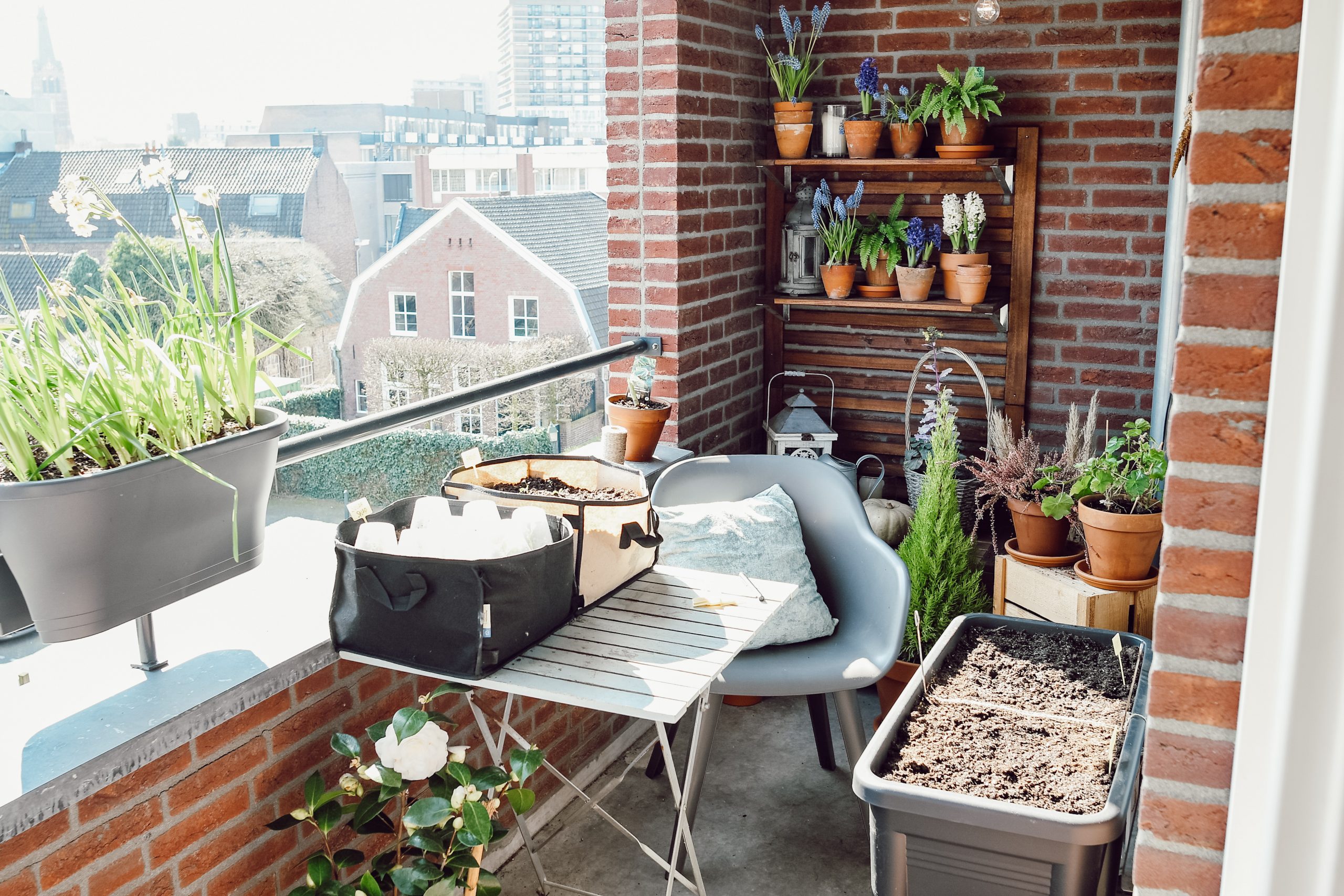 leiderschap Kort leven ga winkelen Mijn mini moestuin - nu twee keer zo groot! - So Celebrate! - vier de  seizoenen