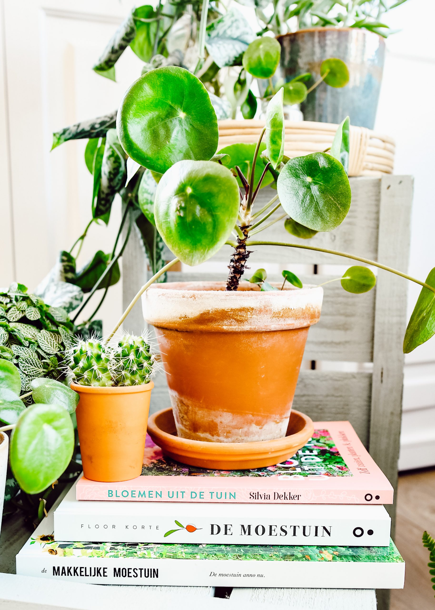 de leukste boeken over moestuinieren