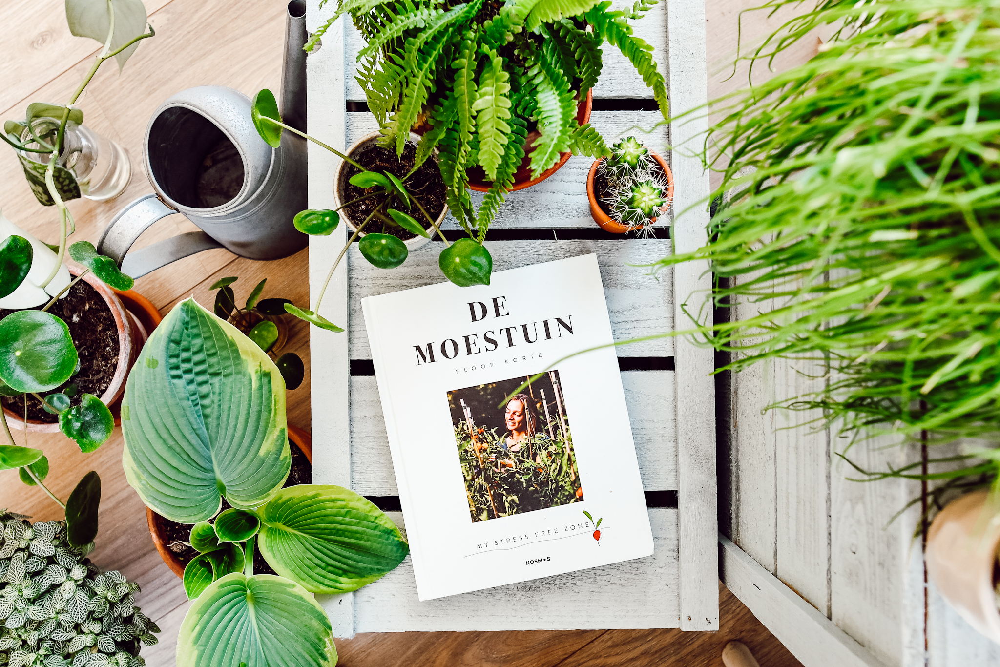 moestuin boek