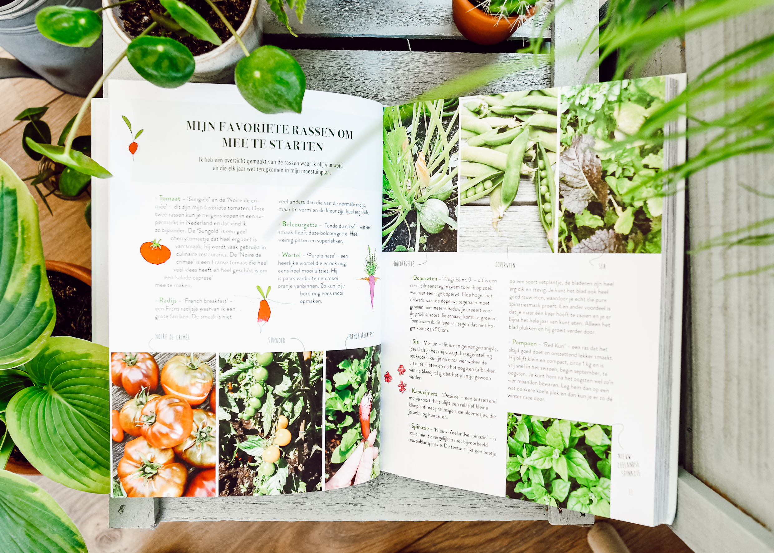 moestuin boek