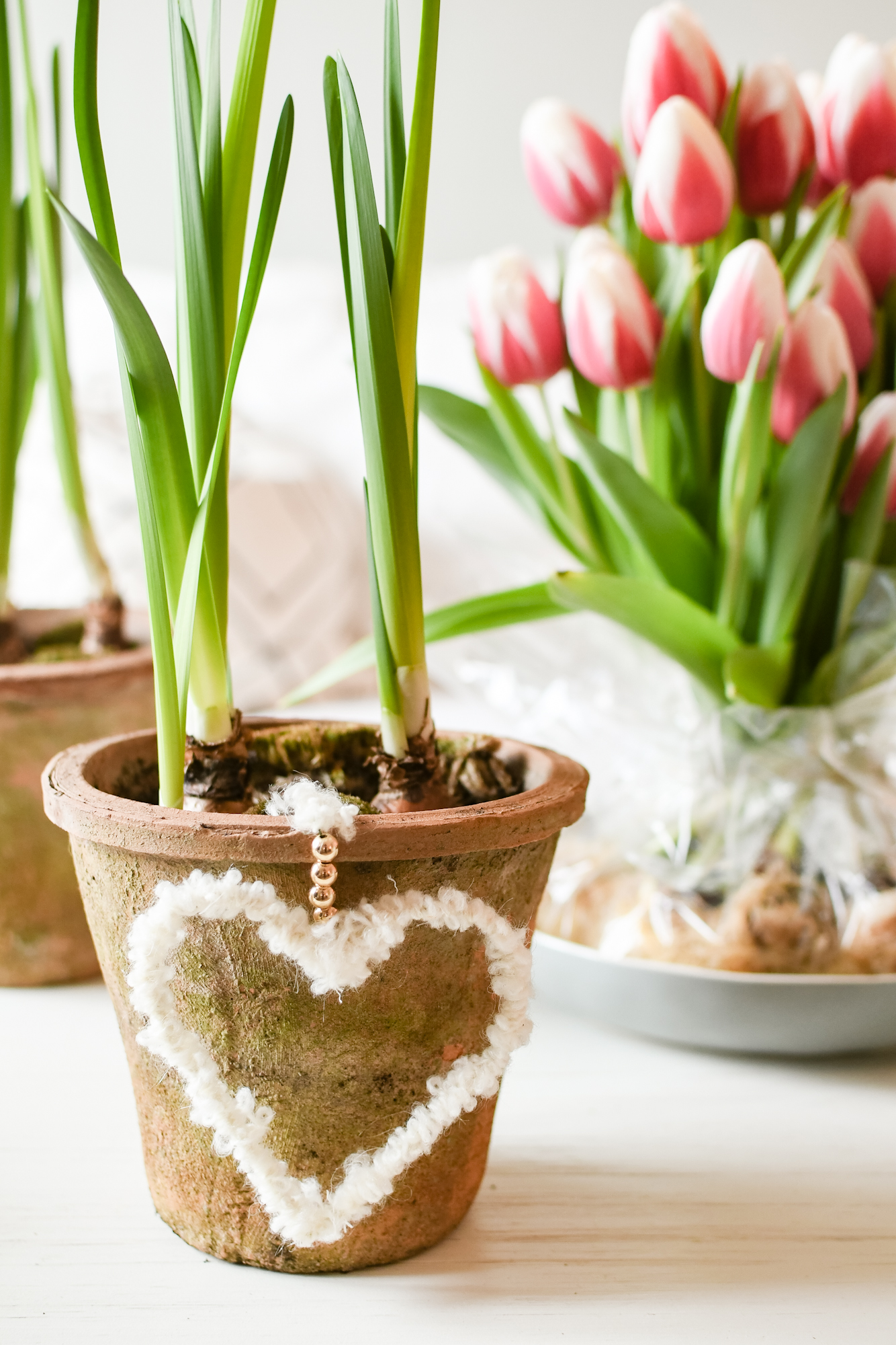 versiering Valentijnsdag maken - Celebrate! - de seizoenen