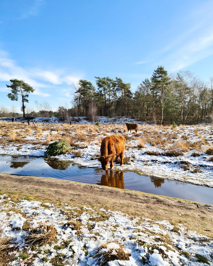 wandelen regio eindhoven