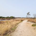 De mooiste wandelplekken in regio Eindhoven