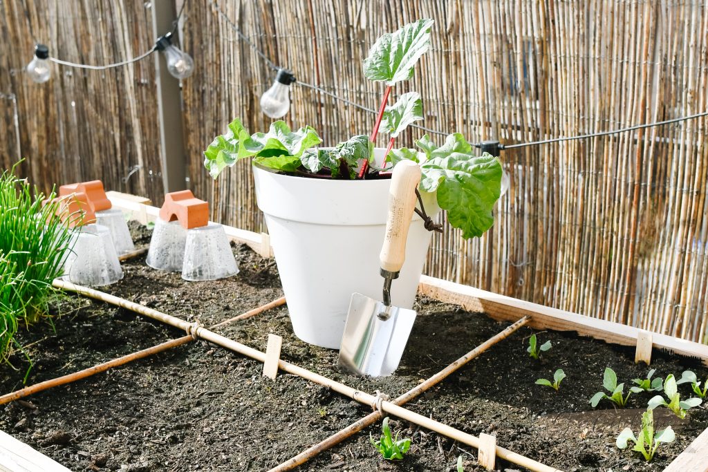 Moestuinplan maken voor je moestuin in potten en bakken