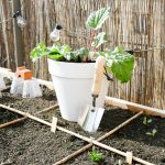 Moestuindagboek | Hoera, het is lente!