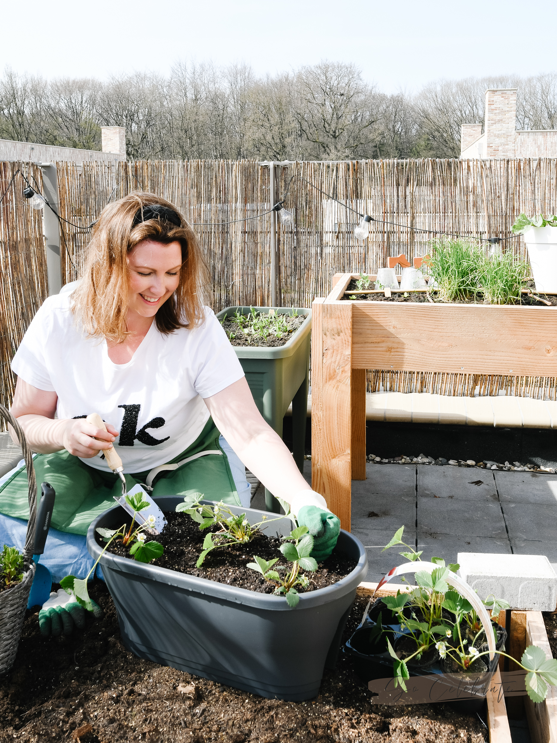 Moestuin in bakken en potten: 22 handige & hacks! - So Celebrate