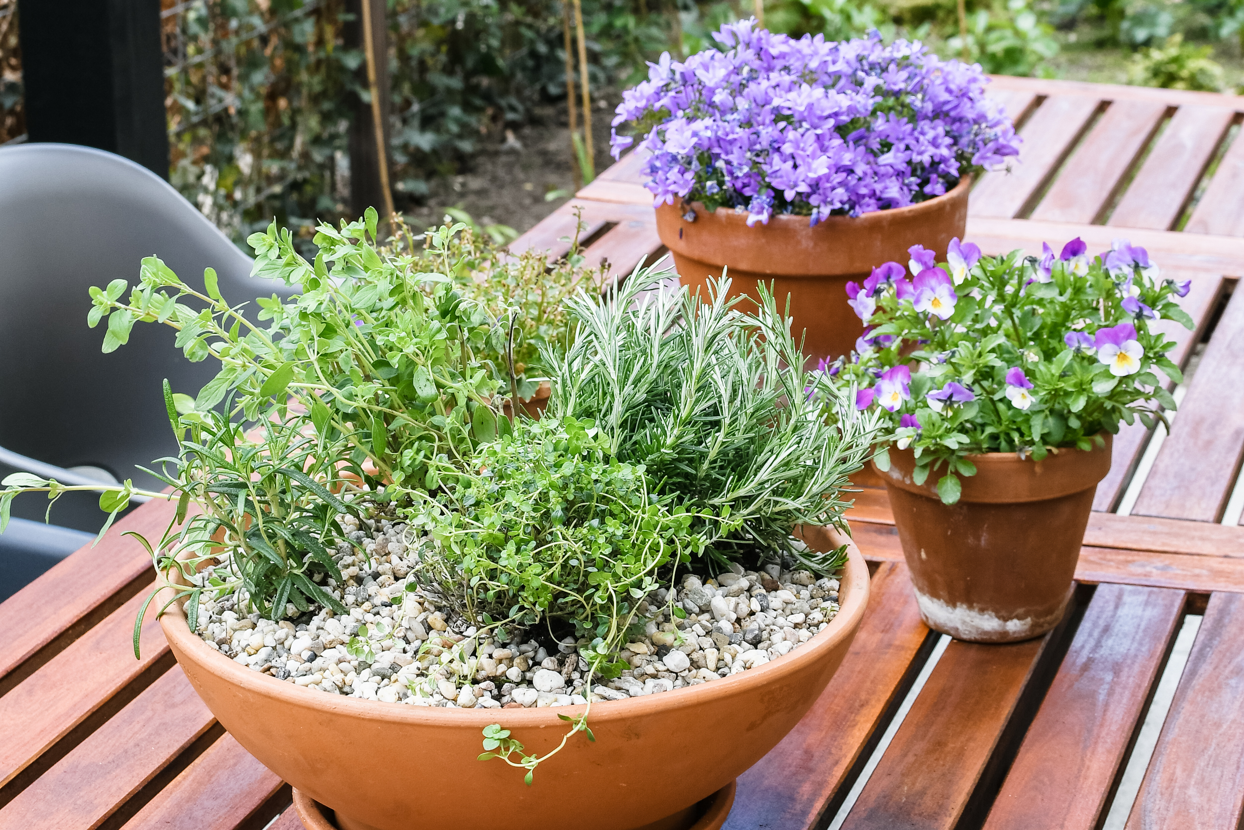 trainer ik wil merknaam Mediterraans kruidentuintje voor op de tuintafel - So Celebrate! - vier de  seizoenen