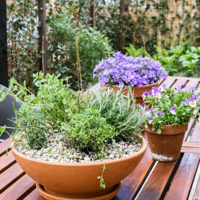 Mediterraans kruidentuintje voor op de tuintafel