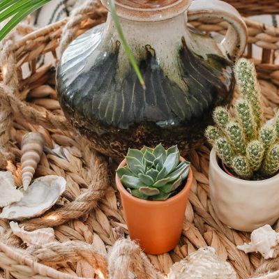 Neutrale zomerse decoratie: tips & ideeën