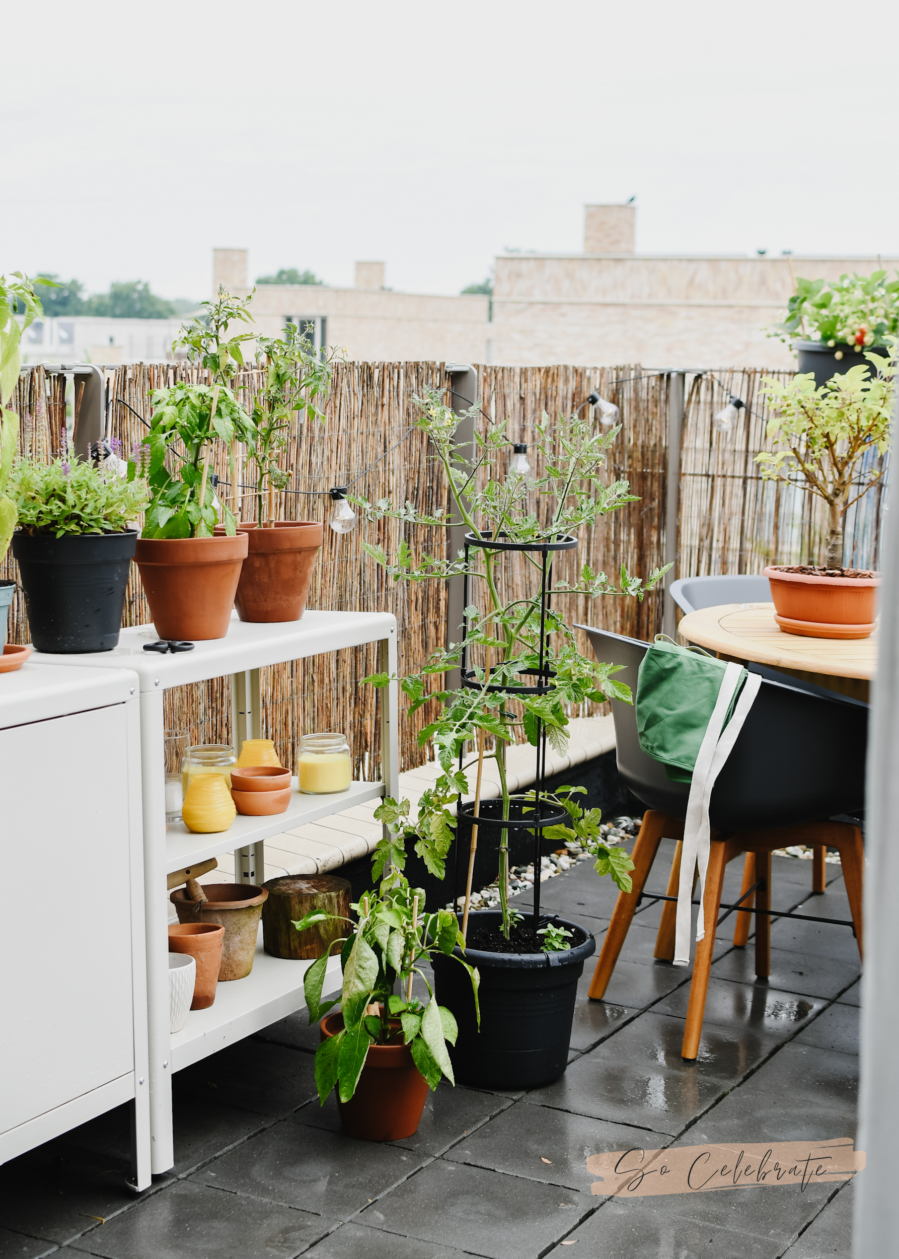 wat heb je nodig voor moestuin op balkon of dakterras?