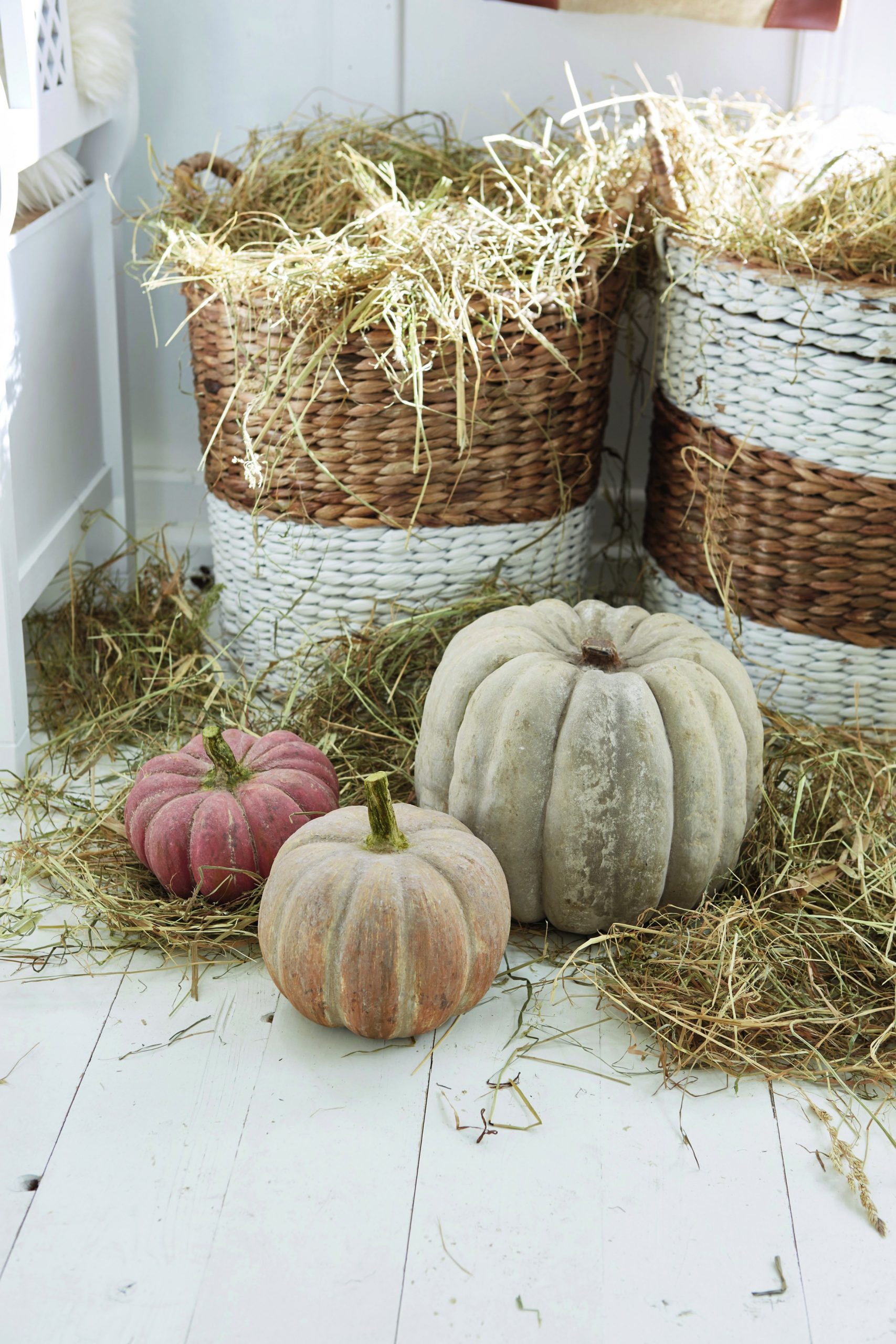 herfstdecoratie kopen