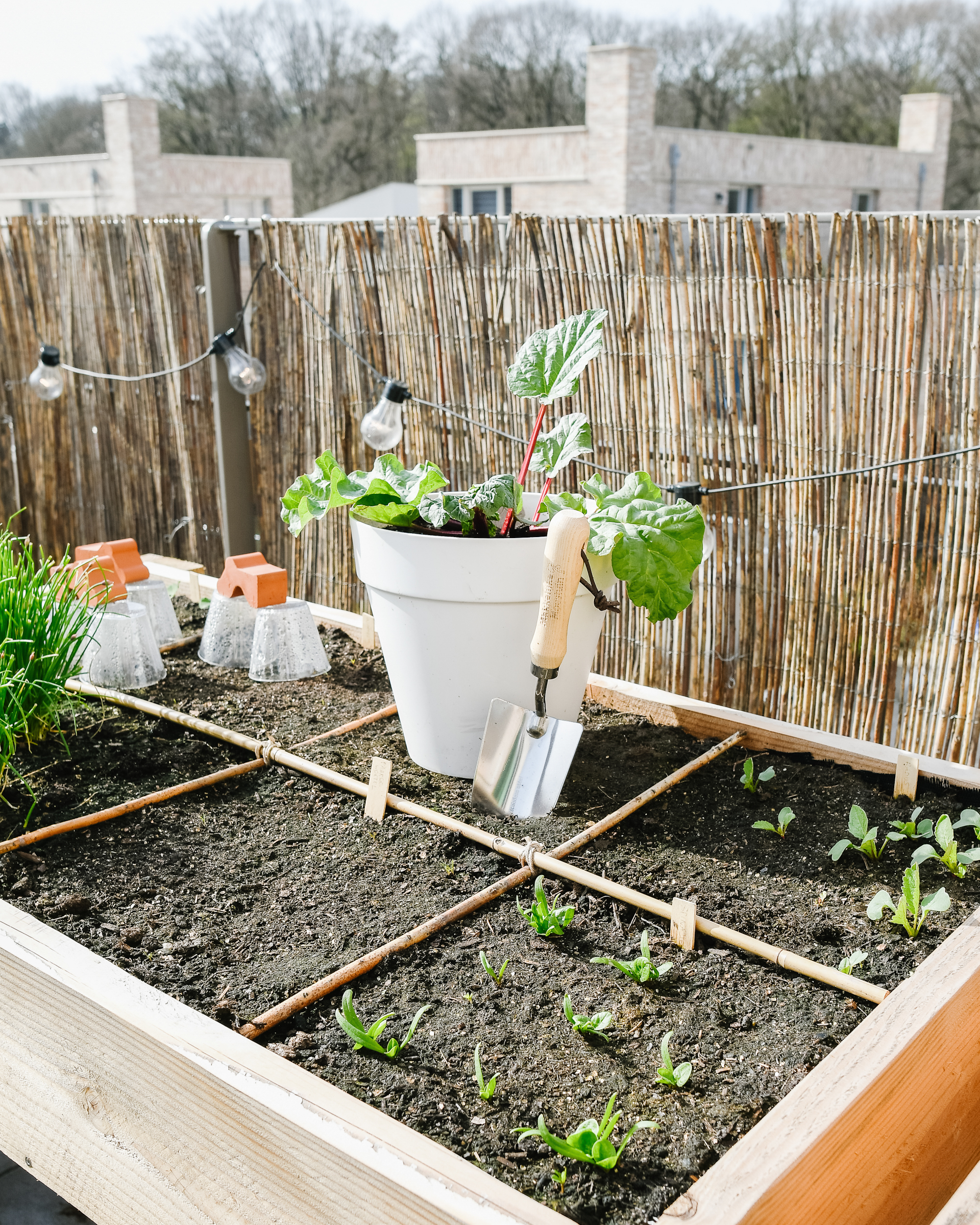 Instrument Dicteren Afsnijden Moestuin in kleine tuin of op balkon: zo kweek je véél groente & fruit!