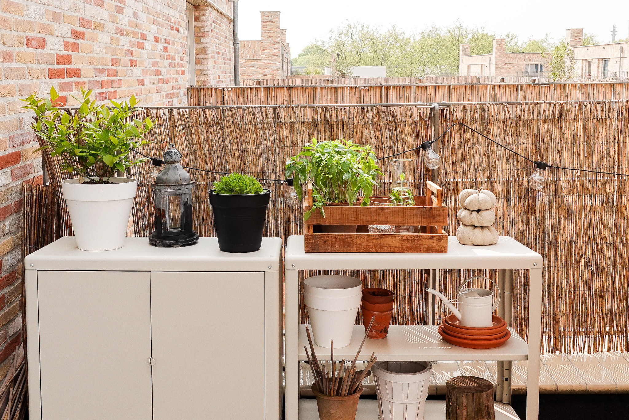 moestuin op dakterras - kastjes voor spullen opbergen