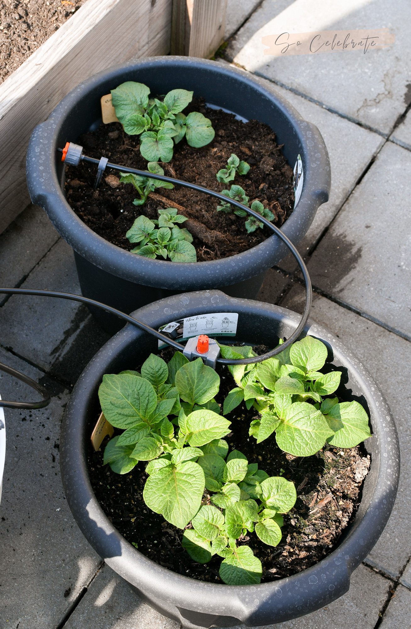 bewateringssysteem moestuin dakterras of balkon