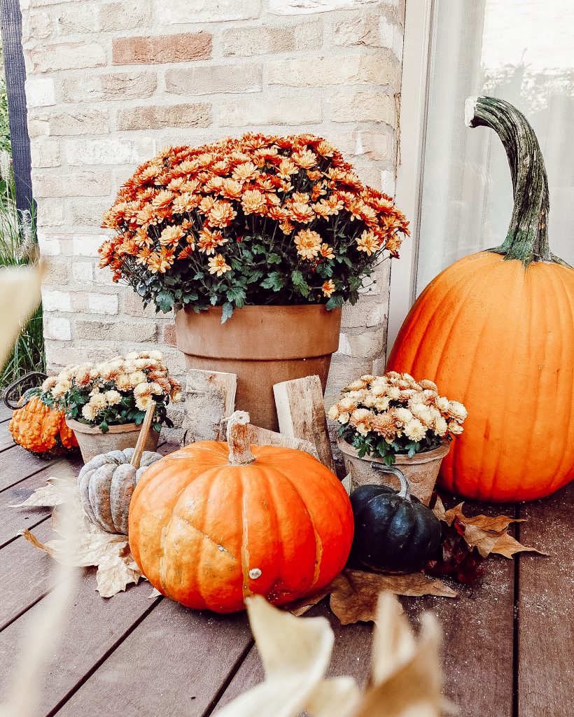 herfstdecoratie in de tuin