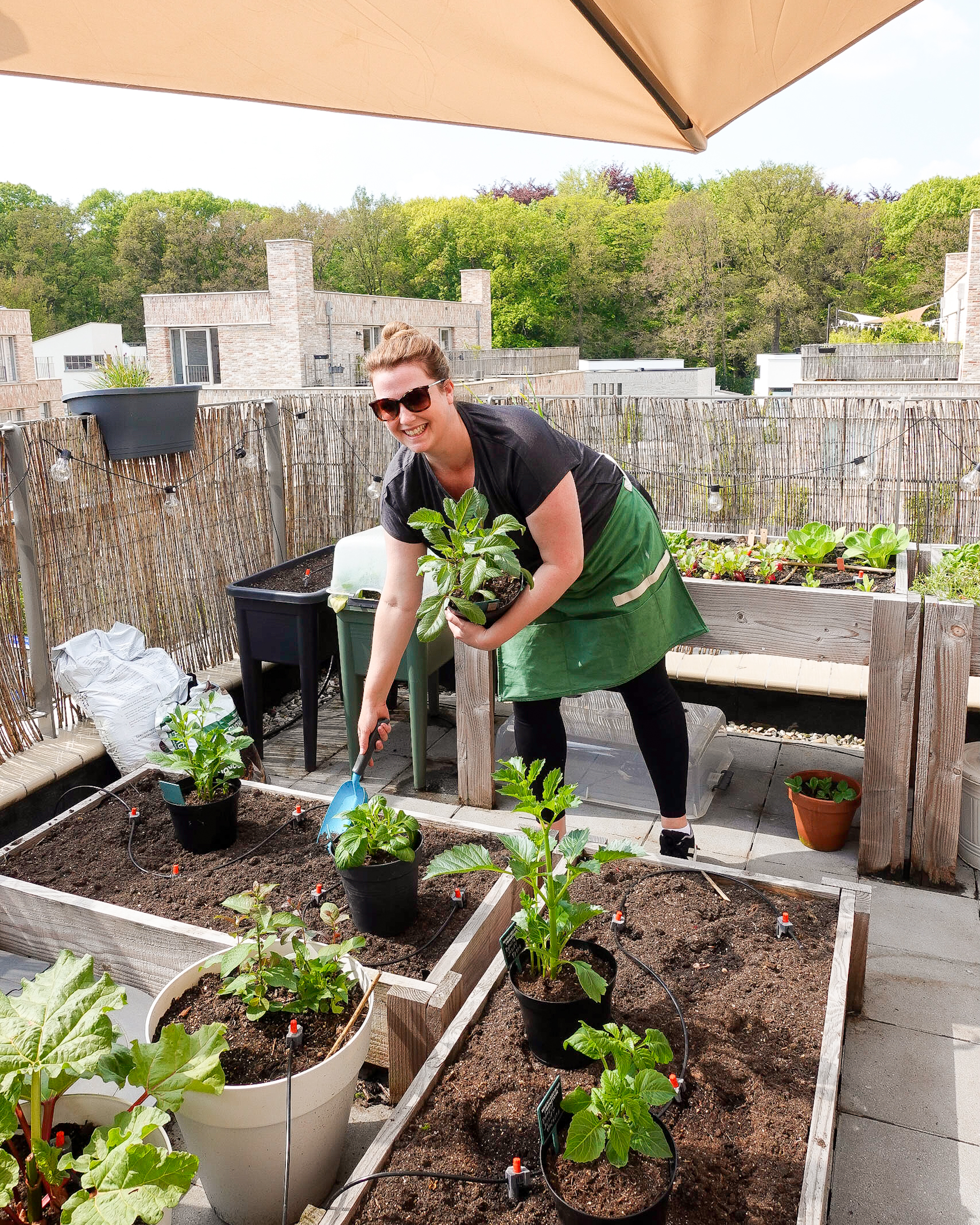 moestuin op dakterras of balkon - tips