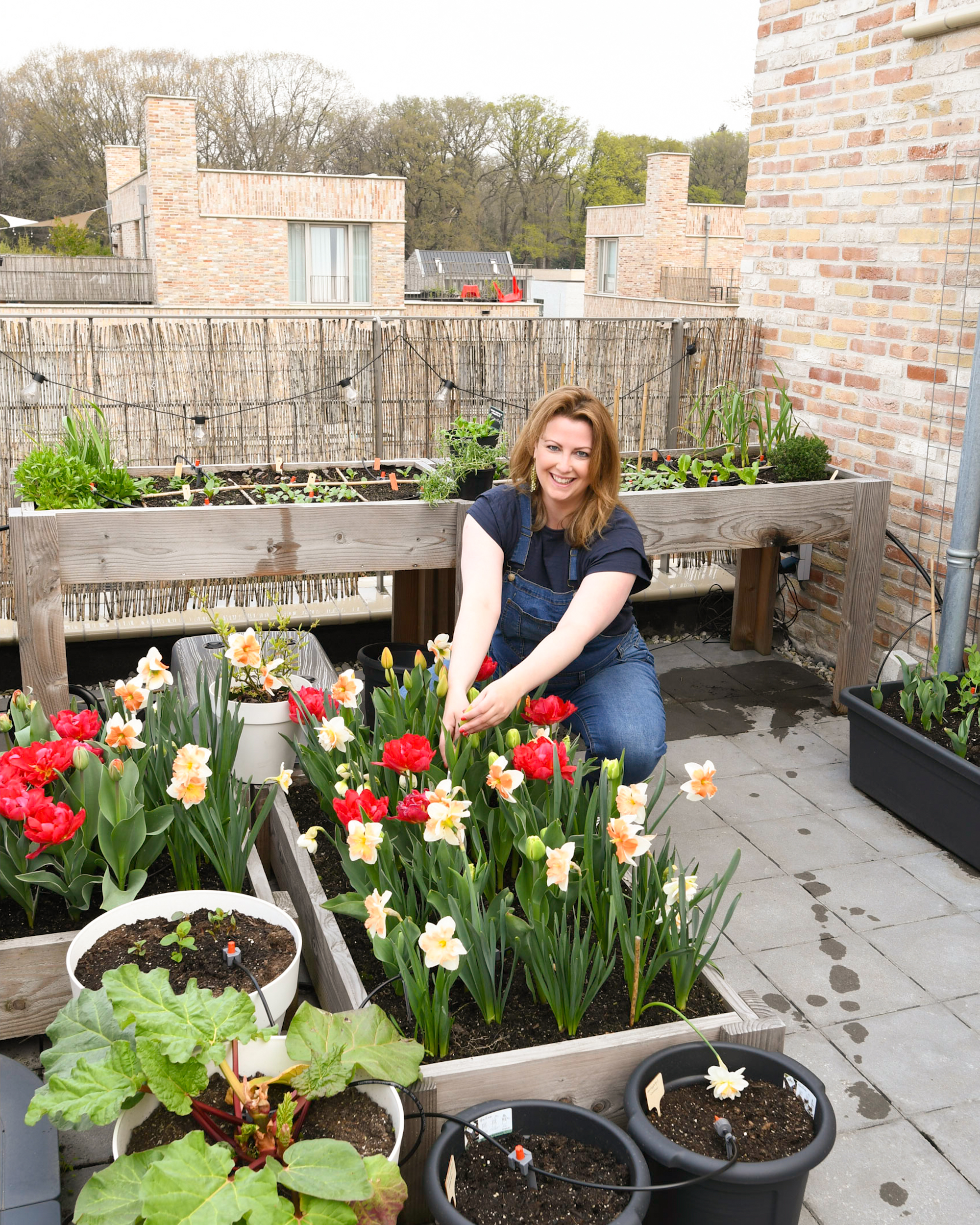 bewateringssysteem moestuin dakterras of balkon