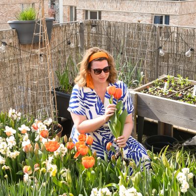 Tulpen & narcissen, maar nog weinig groente | Moestuindagboek