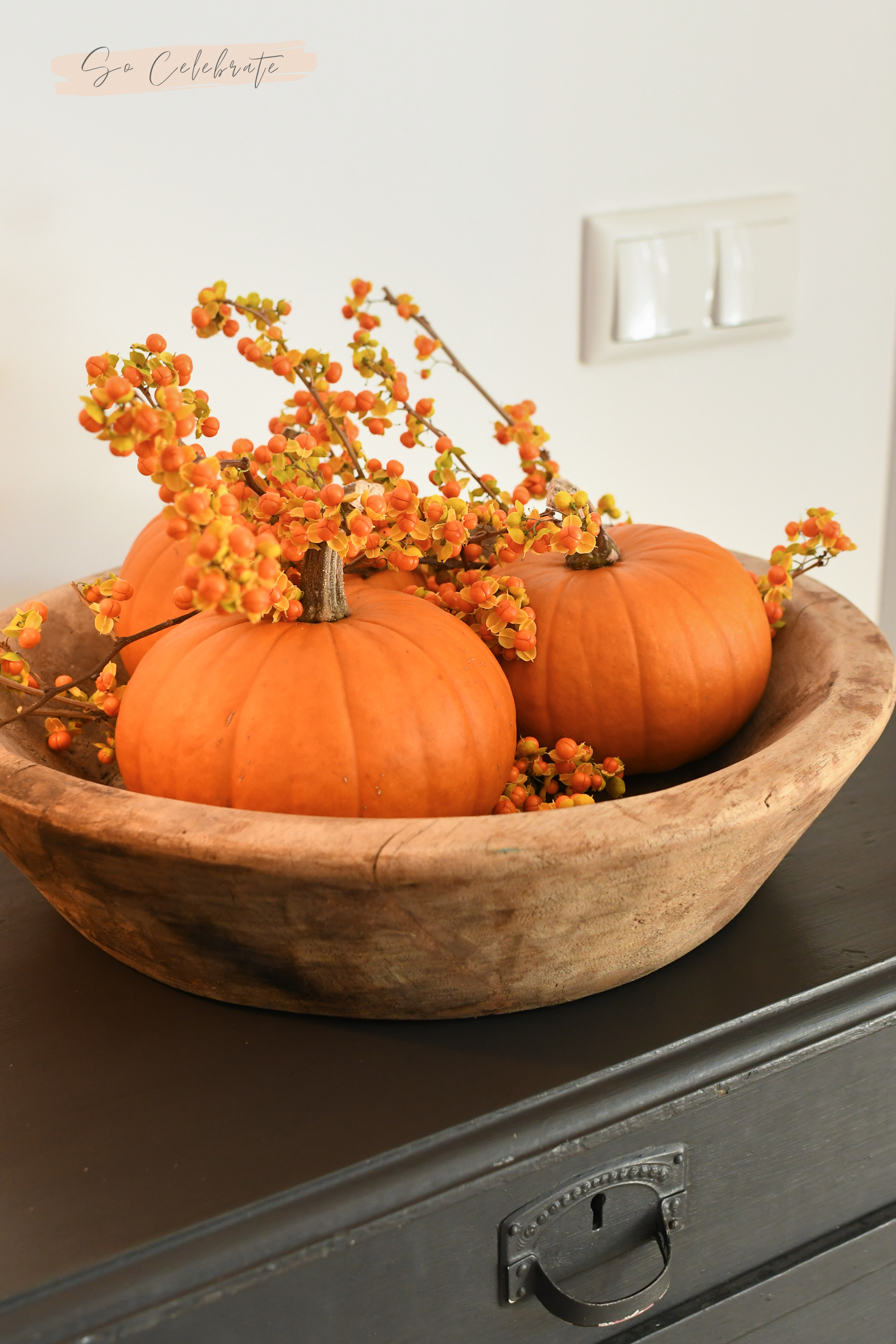 Celastrus Bittersweet tak met besjes en pompoenen decoratie herfst