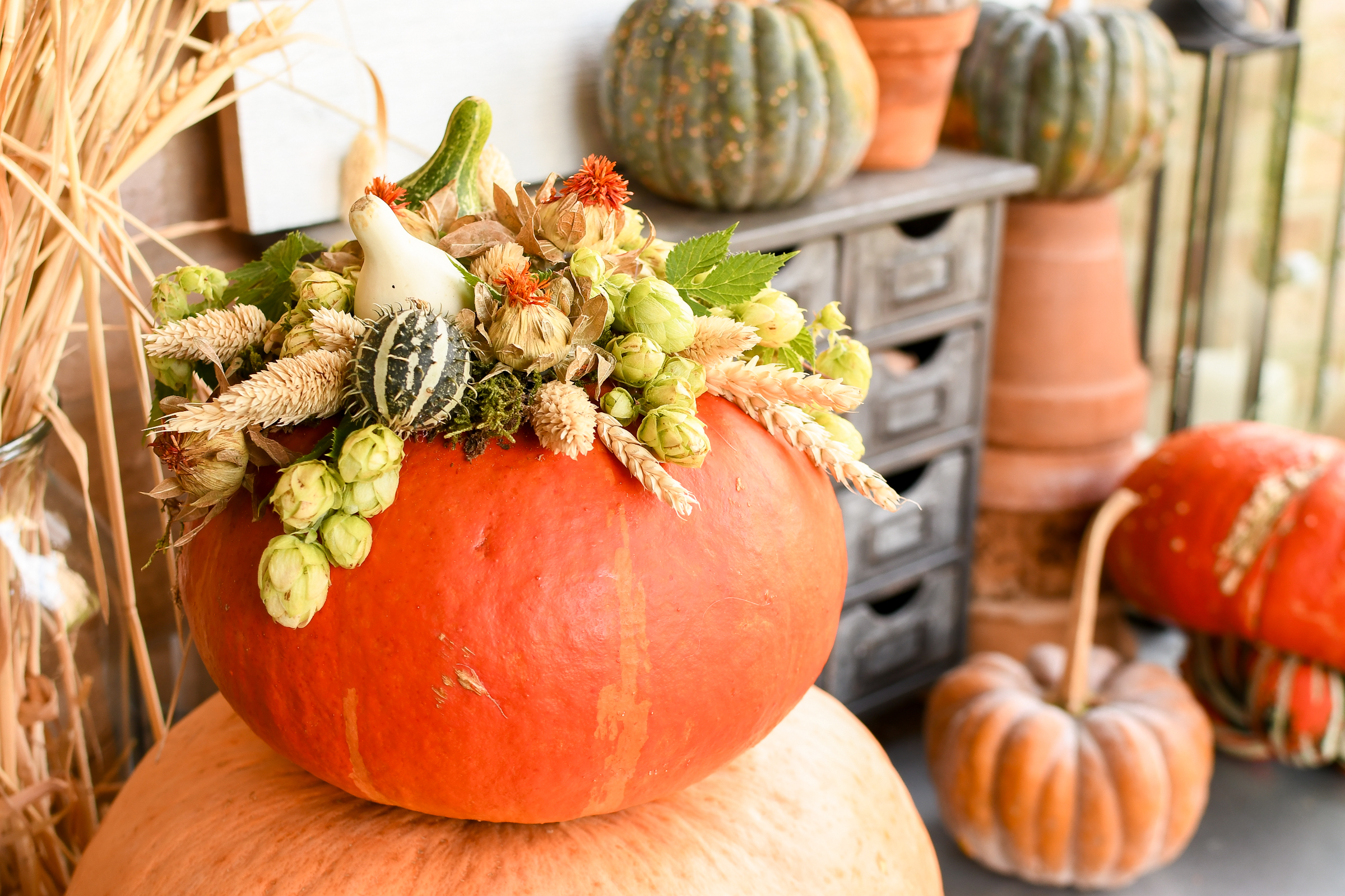 herfststukje op pompoen maken met sierfruit