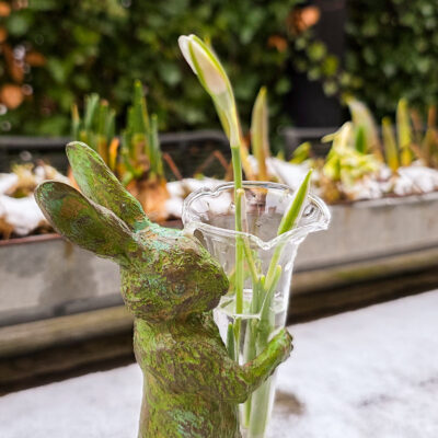 Voorjaar in huis! De eerste nieuwe woondecoraties