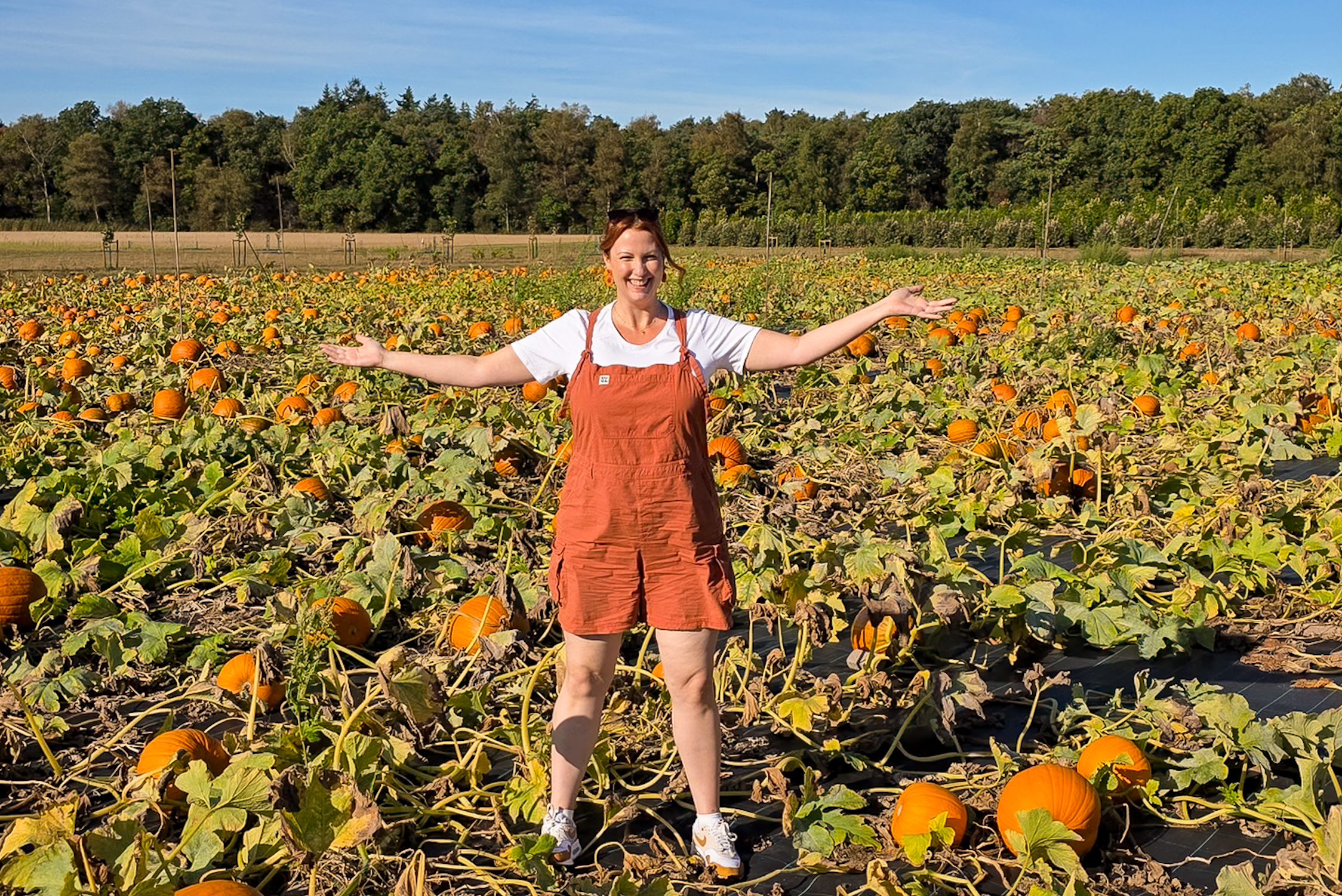 herfstuitjes pompoen evenementen plukdagen 2026